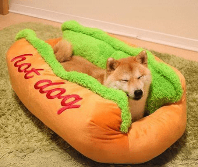 Hot Dog House Lounger