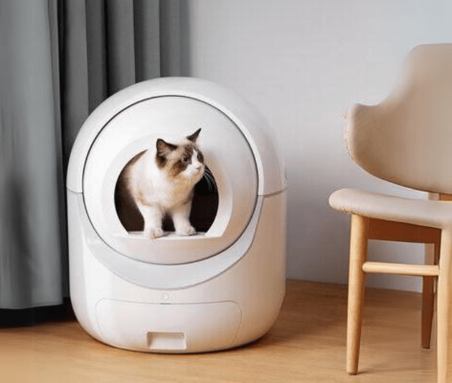 Life changing Automatic Litterbox