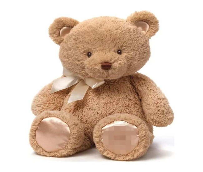 Voice Recorder Teddy Bear